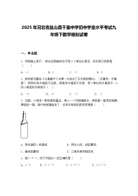 2025年河北省盐山县千童中学初中学业水平考试九年级下数学模拟试卷（含答案解析）