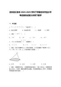 吉林省长春市2024-2025学年下学期初中学业水平考试模拟试题九年级下数学（含答案解析）