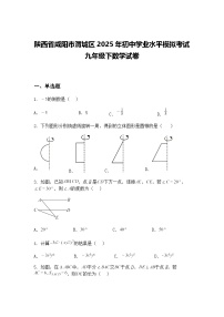 陕西省咸阳市渭城区2025年初中学业水平模拟考试九年级下数学试卷（含答案解析）