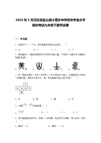 2025年5月河北省盐山县小营乡中学初中学业水平模拟考试九年级下数学试卷（含答案解析）