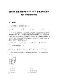 四川省广安市友谊中学2024-2025学年九年级下学期5月模拟数学试题（含答案解析）