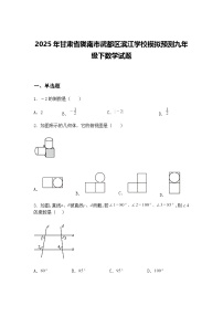 2025年甘肃省陇南市武都区滨江学校模拟预测九年级下数学试题（含答案解析）