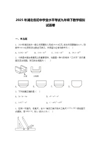 2025年湖北省初中学业水平考试九年级下数学模拟试题卷（含答案解析）