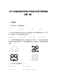 2025年湖北省初中学业水平考试九年级下数学模拟试卷（黑）（含答案解析）
