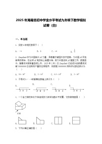 2025年海南省初中学业水平考试九年级下数学模拟试卷（白）（含答案解析）