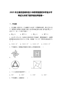 2025年云南省昆明市昆十中教育集团初中学业水平考试九年级下数学模拟押题卷一（含答案解析）
