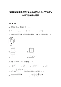 安徽省巢湖市部分学校2025年初中学业水平考试九年级下数学模拟试题（含答案解析）