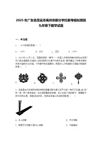 2025年广东省茂名市高州市部分学校联考模拟预测九年级下数学试题（含答案解析）