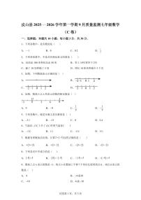 新疆维吾尔自治区和田地区皮山县2025_2026学年七年级上学期9月月考数学C卷（含答案）