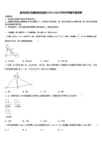 临沧地区沧源佤族自治县2024-2025学年中考数学模试卷含解析
