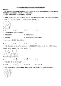 2025届陕西省西安市莲湖区中考数学模试卷含解析