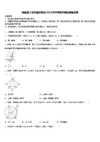 海南省三亚市南沙群岛2025年中考数学模拟精编试卷含解析