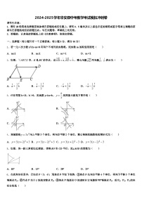 2024-2025学年华安县中考数学考试模拟冲刺卷含解析