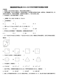 湖南省衡阳市衡山县2024-2025学年中考数学考试模拟冲刺卷含解析