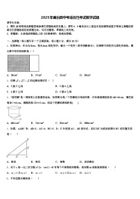 2025年高台县中考适应性考试数学试题含解析