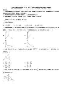 五峰土家族自治县2024-2025学年中考数学考试模拟冲刺卷含解析