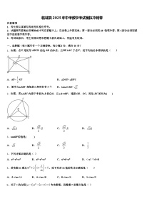 临城县2025年中考数学考试模拟冲刺卷含解析