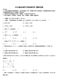 2025届山东省济宁市微山县中考二模数学试题含解析
