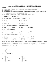 2024-2025学年河北省邯郸市肥乡县中考数学适应性模拟试题含解析