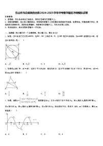 乐山市马边彝族自治县2024-2025学年中考数学最后冲刺模拟试卷含解析