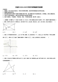 洪湖市2024-2025学年中考押题数学预测卷含解析