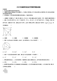 2025年温州市洞头区中考数学模拟试题含解析