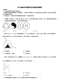 2025届吴忠市青铜峡市中考数学押题卷含解析