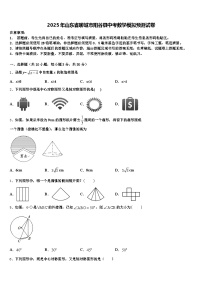 2025年山东省聊城市阳谷县中考数学模拟预测试卷含解析