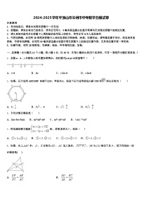 2024-2025学年平顶山市汝州市中考数学五模试卷含解析