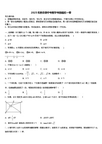 2025年西华县中考数学考前最后一卷含解析