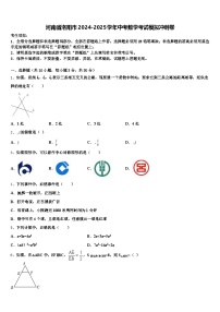 河南省洛阳市2024-2025学年中考数学考试模拟冲刺卷含解析