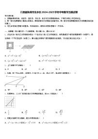 江西省抚州市东乡区2024-2025学年中考数学五模试卷含解析
