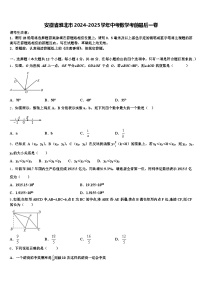 安徽省淮北市2024-2025学年中考数学考前最后一卷含解析