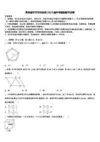 贵州省毕节市织金县2025届中考猜题数学试卷含解析