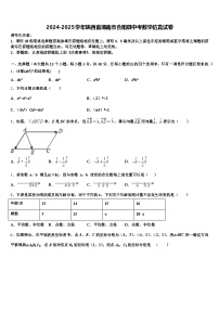 2024-2025学年陕西省渭南市合阳县中考数学仿真试卷含解析