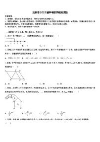 龙泉市2025届中考数学模拟试题含解析