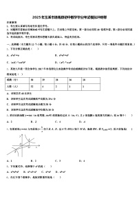 2025年玉溪市通海县初中数学毕业考试模拟冲刺卷含解析