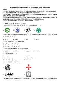 山西省朔州市山阴县2024-2025学年中考数学适应性模拟试题含解析