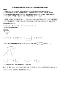 山东省烟台市莱山区2024-2025学年中考五模数学试题含解析