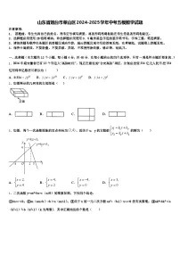 山东省烟台市莱山区2024-2025学年中考五模数学试题含解析