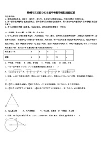 梅州市五华县2025届中考数学模拟精编试卷含解析