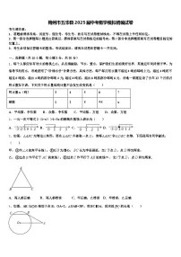 梅州市五华县2025届中考数学模拟精编试卷含解析