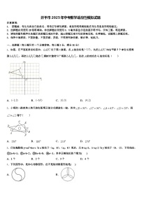 开平市2025年中考数学适应性模拟试题含解析