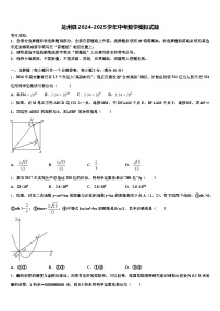 龙州县2024-2025学年中考数学模拟试题含解析