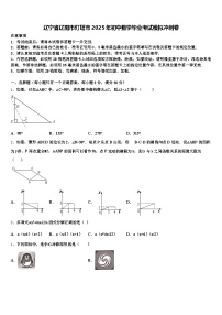 辽宁省辽阳市灯塔市2025年初中数学毕业考试模拟冲刺卷含解析