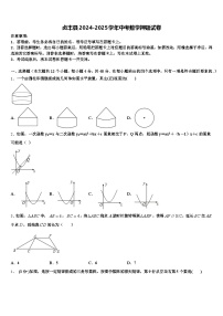 贞丰县2024-2025学年中考数学押题试卷含解析
