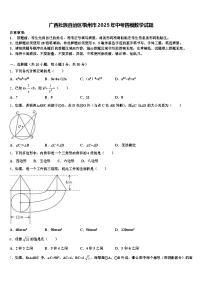 广西壮族自治区梧州市2025年中考四模数学试题含解析