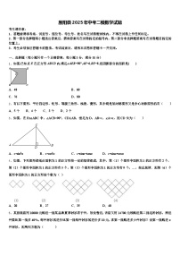 原阳县2025年中考二模数学试题含解析