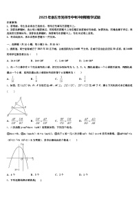 2025年崇左市凭祥市中考冲刺卷数学试题含解析