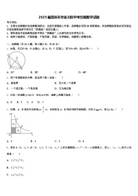 2025届嘉峪关市金川区中考五模数学试题含解析